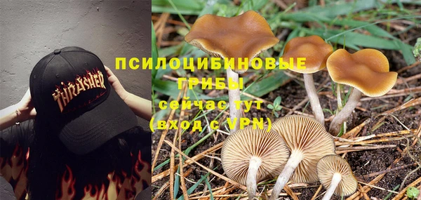 синтетический гашиш Абинск