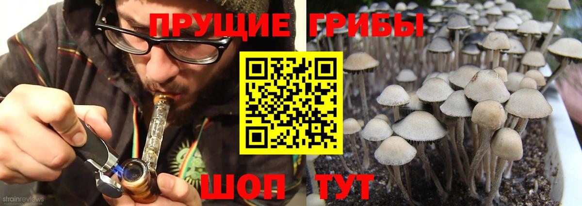 Псилоцибиновые грибы мицелий Майский